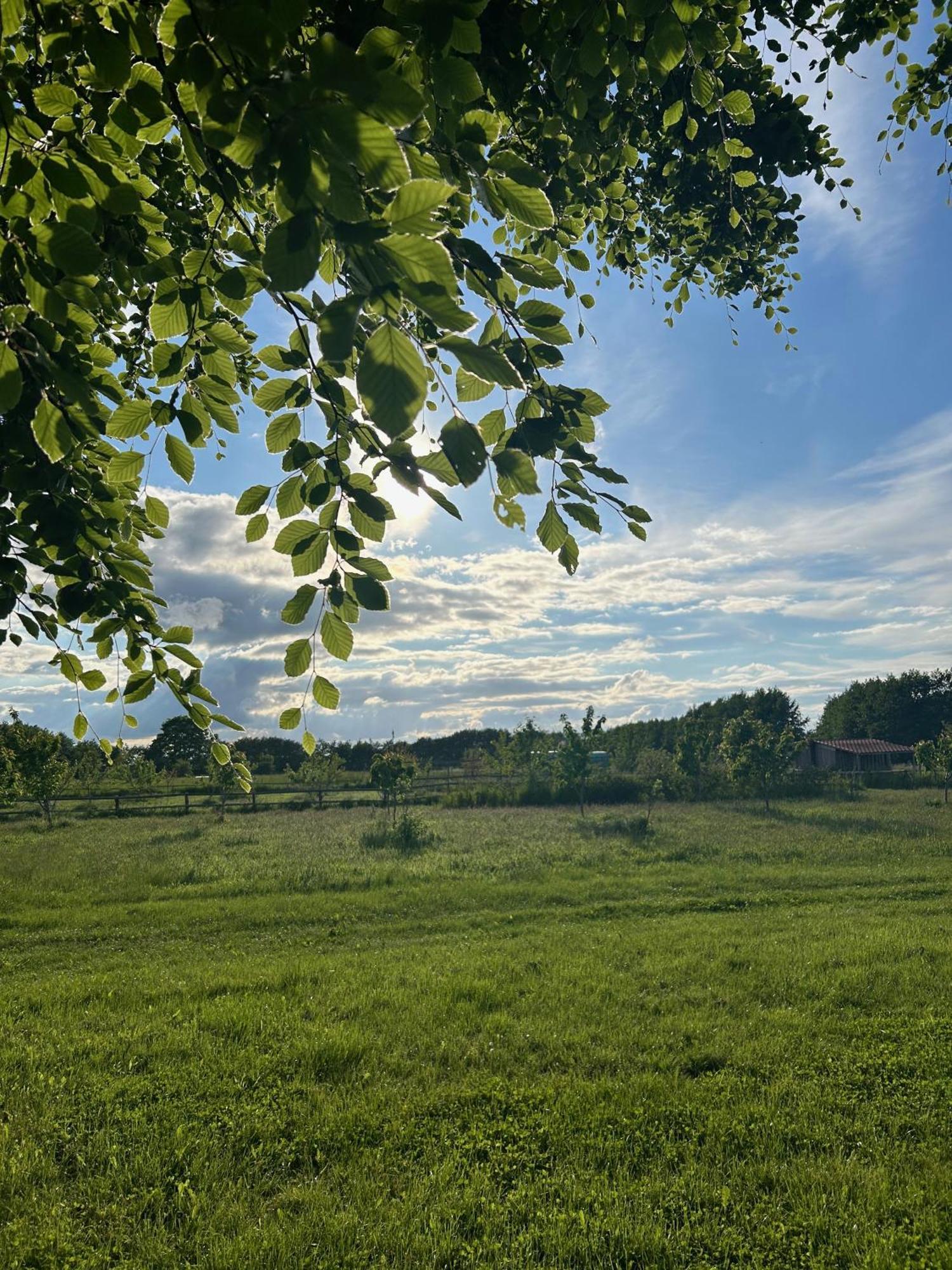 Stevns Camp Villa Strøby Ladeplads Buitenkant foto